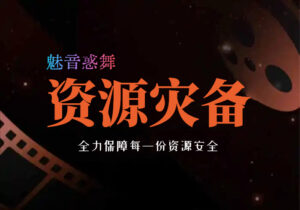 资源安全——第三重保障：资源灾备-魅音惑舞